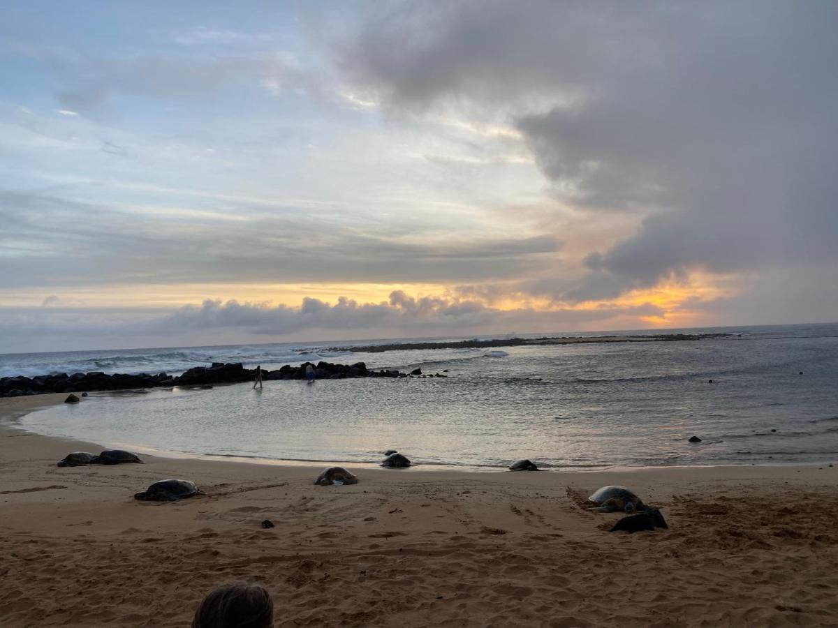 Puu Poa Ocean Bluff Condo, Incredible Views, Walk To Beaches, Pool & Tennis Princeville Εξωτερικό φωτογραφία
