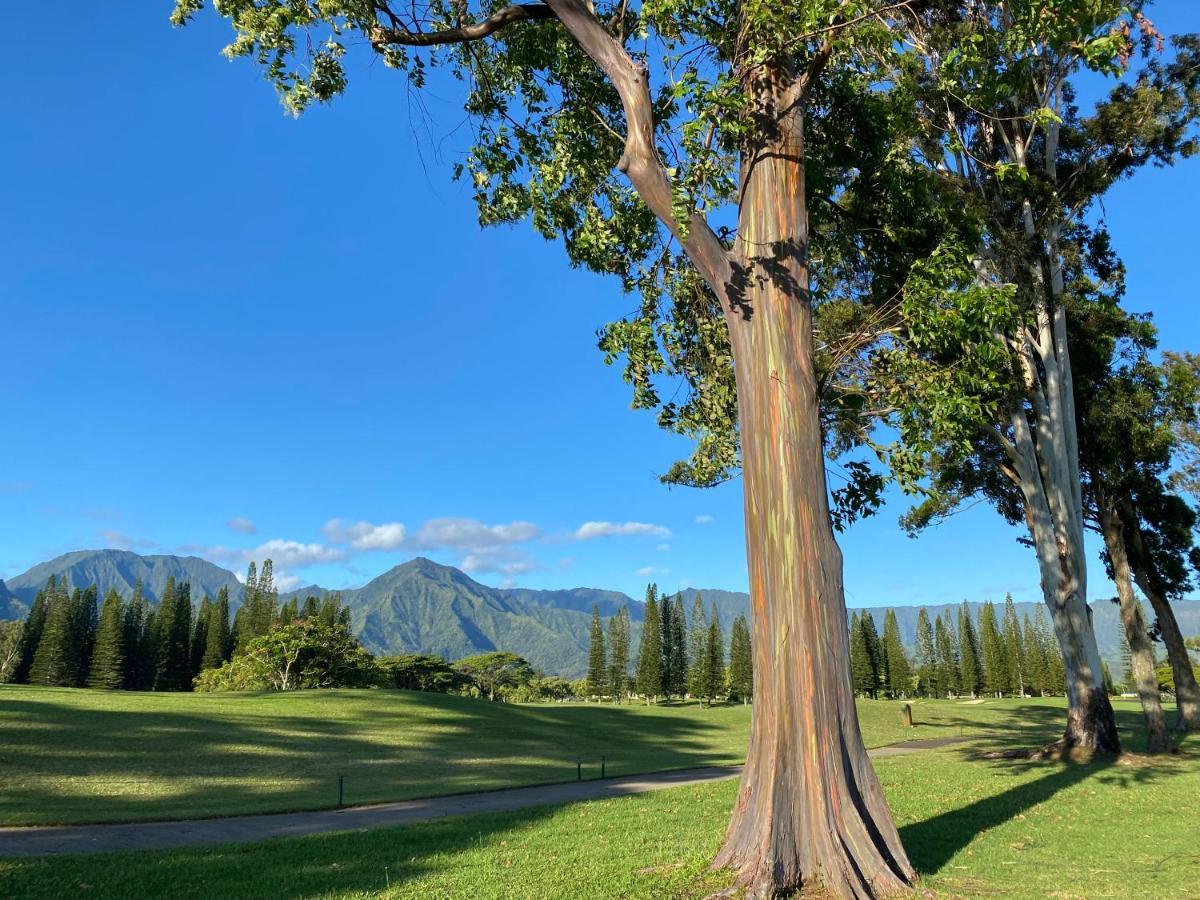 Puu Poa Ocean Bluff Condo, Incredible Views, Walk To Beaches, Pool & Tennis Princeville Εξωτερικό φωτογραφία