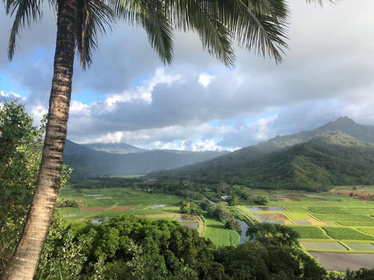 Puu Poa Ocean Bluff Condo, Incredible Views, Walk To Beaches, Pool & Tennis Princeville Εξωτερικό φωτογραφία